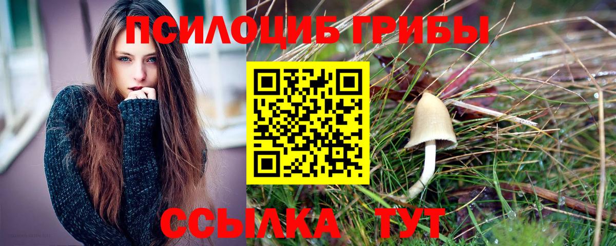 Где купить наркотики?  Меф кристаллы  Марихуана  Марихуана  Великий Устюг  Вход с VPN  ГАШ 