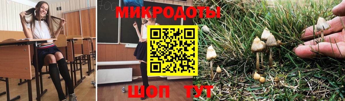 Галлюциногенные грибы GOLDEN TEACHER  Вход с VPN  Псилоцибиновые грибы Psilocybine cubensis  магазин    Великий Устюг 
